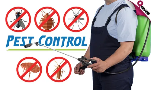 Professional Pest Control Services!